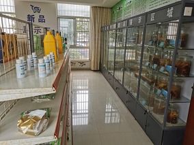 喜报！市水产站荣获江苏省渔业科技服务与示范推广一等奖，计算机系统服务功不可没