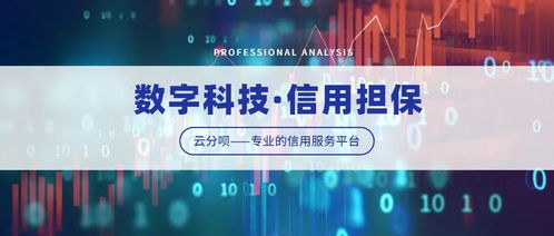 浙江经视专访鉴舟科技集团 云分呗以计算机系统服务引领预付行业数字化新标杆